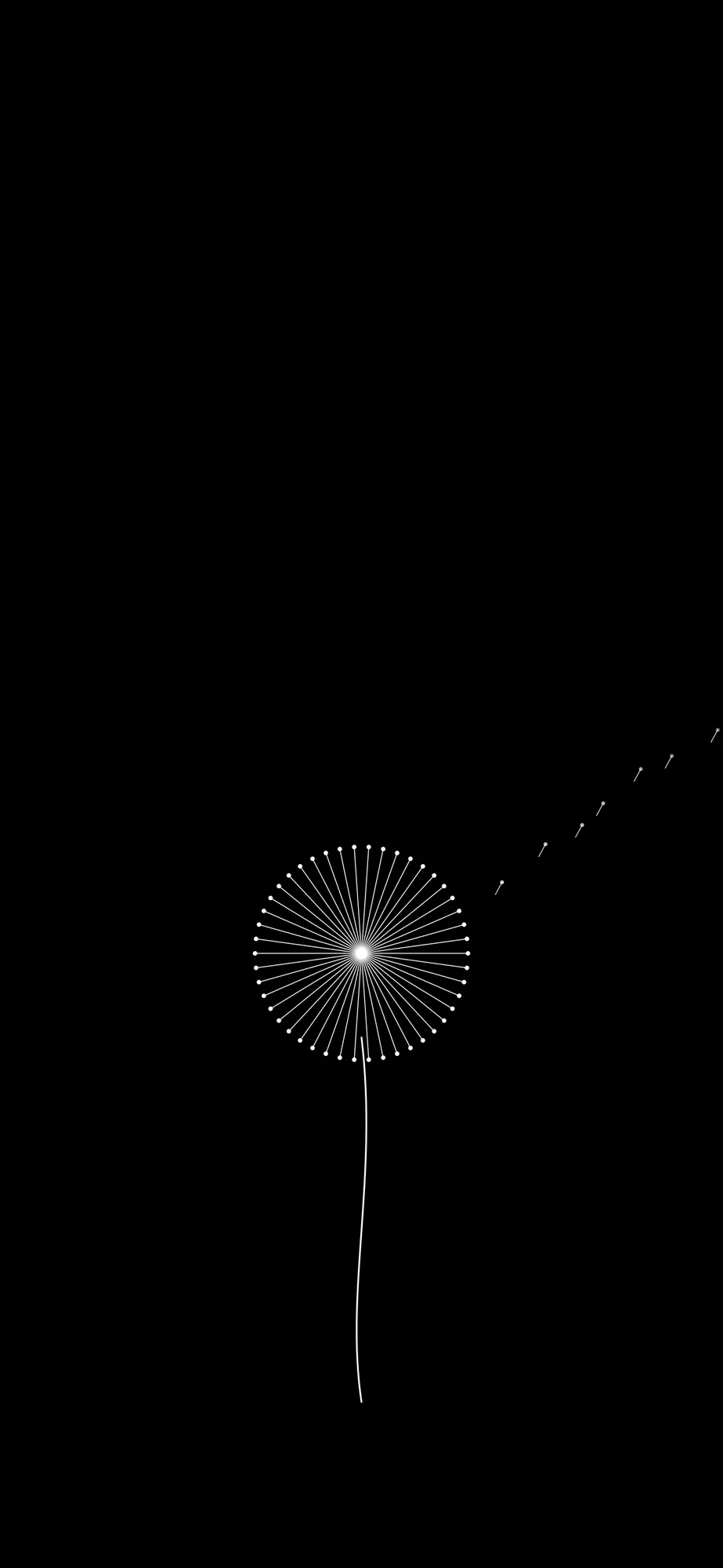 Dandelion Seeds: A dandelion seed head in fine white dots, seeds drifting away.